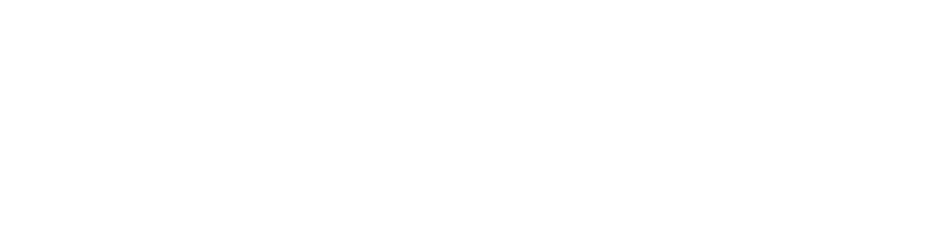 DDA Logo white 2008